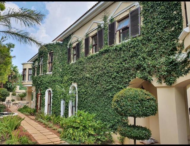 4 BEDROOM PROPERTY TO RENT IN WATERKLOOF RIDGE